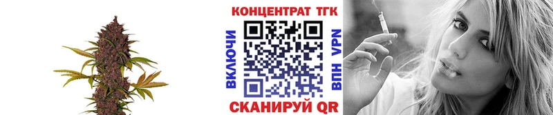 сколько стоит  ОМГ ОМГ онион  Дистиллят ТГК вейп с тгк  Щёкино 