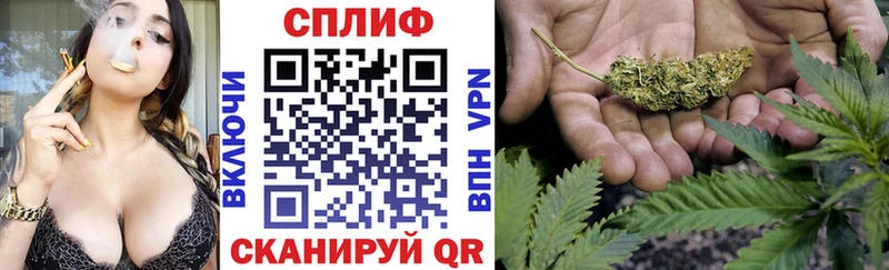Канабис SATIVA & INDICA  МЕГА сайт  Щёкино  закладка 